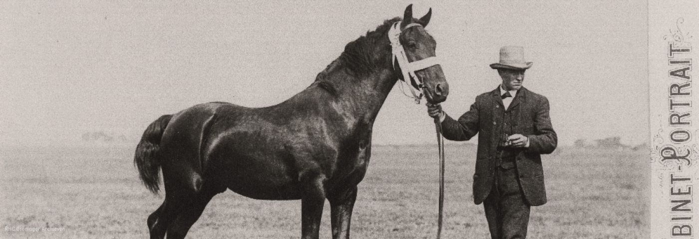 Het Groninger Paard