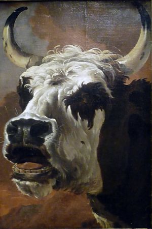 Blaarkop, Jan Asselijn (circa 1600/1616–1652). - Musée des Beaux-Arts de Nîmes