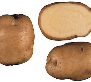 Eigenheimer